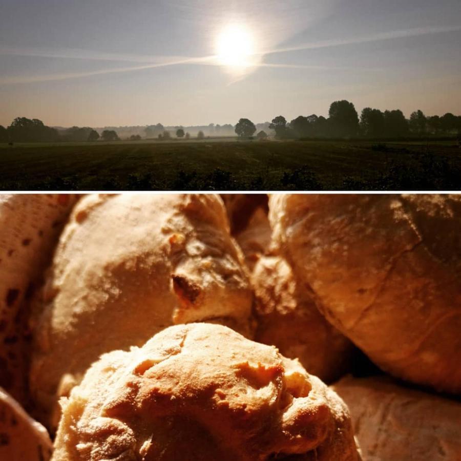 Arroeds Bostaelle Bed & Breakfast Tollarp ภายนอก รูปภาพ